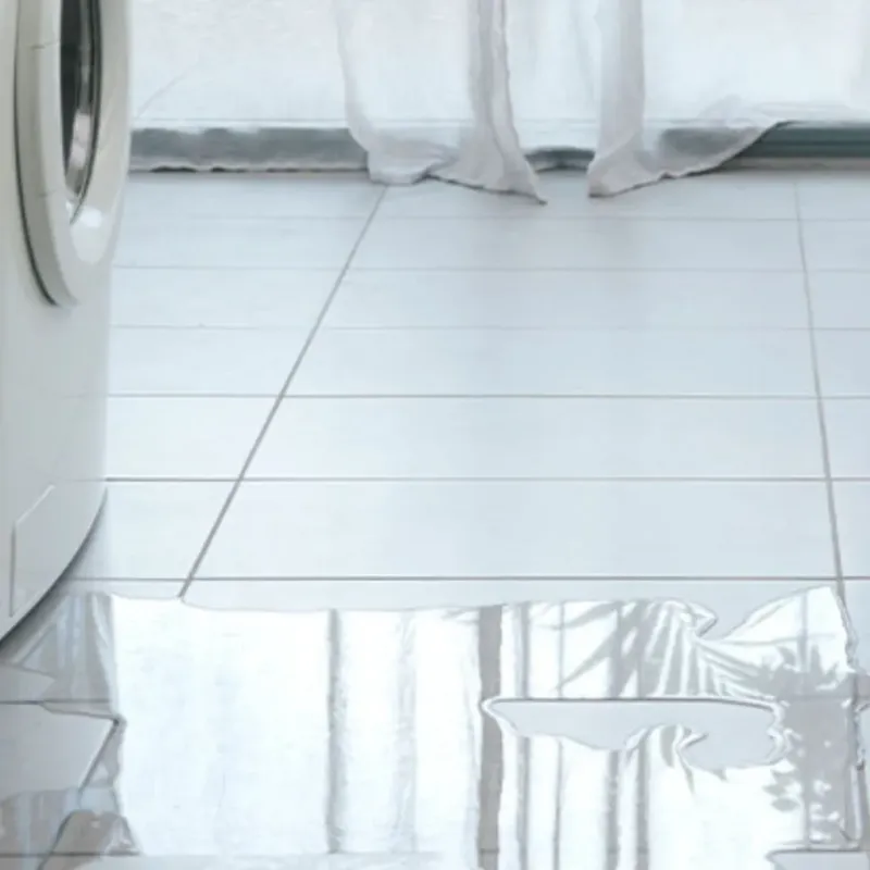 Appliance Leak Cleanup in Jackson, WY