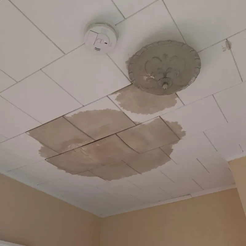 Ceiling Water Damage Repair in Jackson, WY