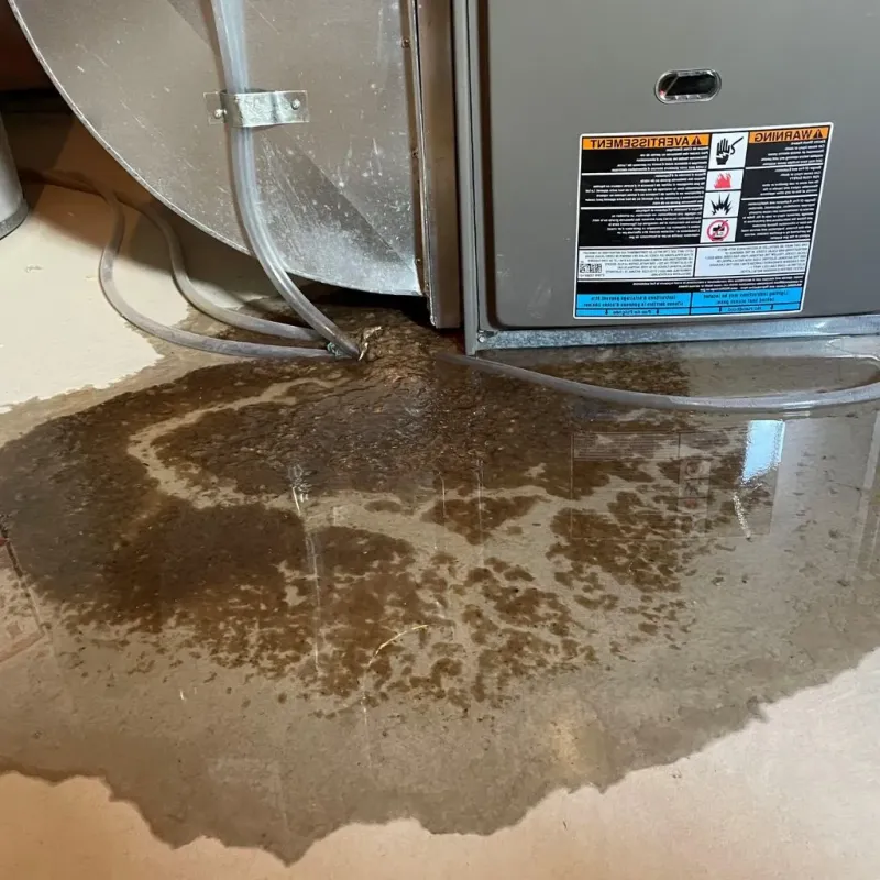 Pipe Burst and Leak Restoration in Jackson, WY