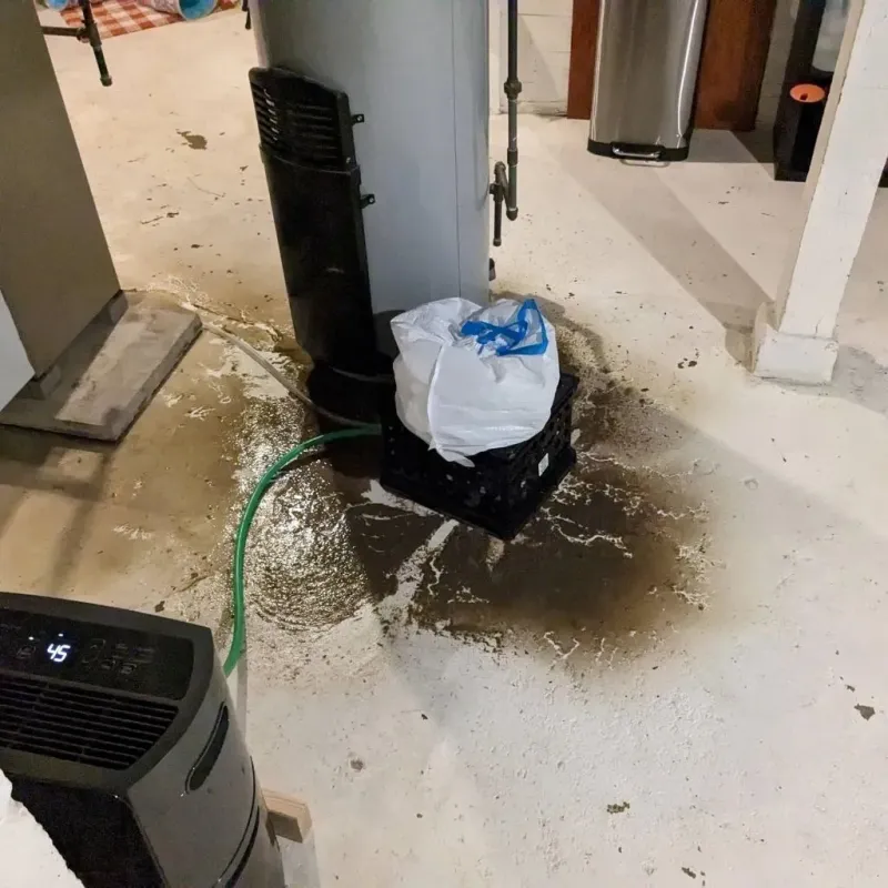 Sewage Backup Cleanup Service in Jackson, WY